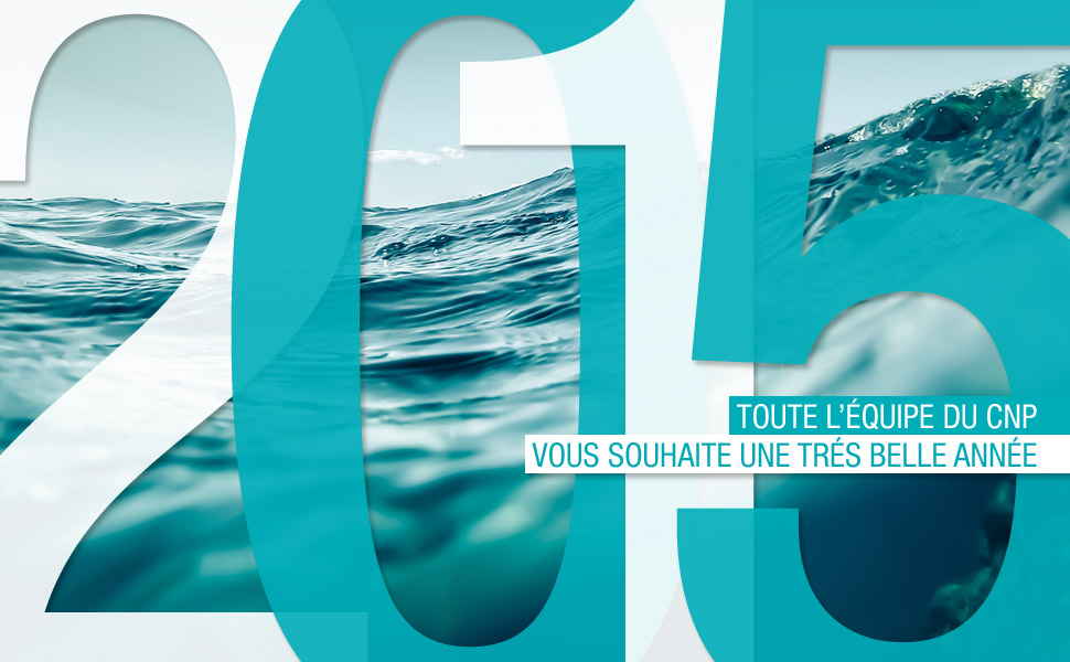 voeux2015