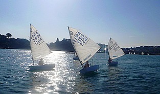 Opti Loguivy