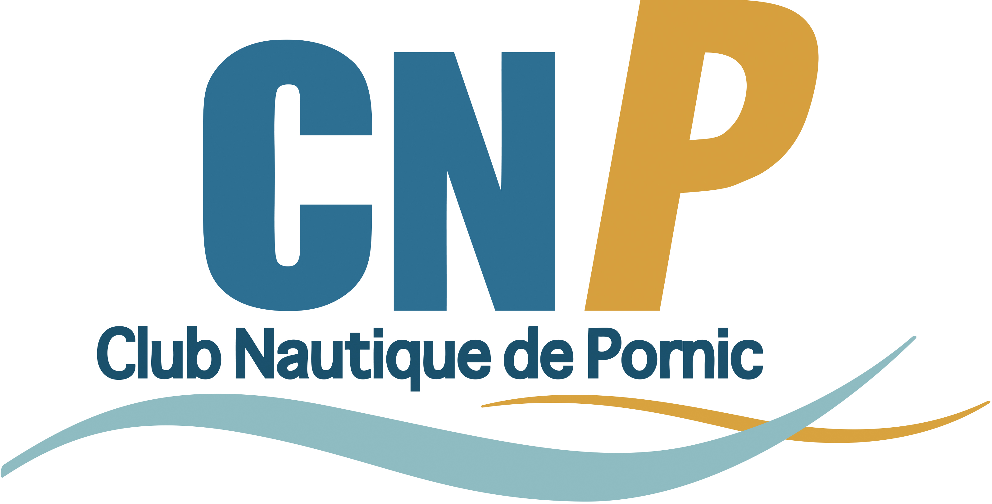 logo cnp plein vectorise rvb